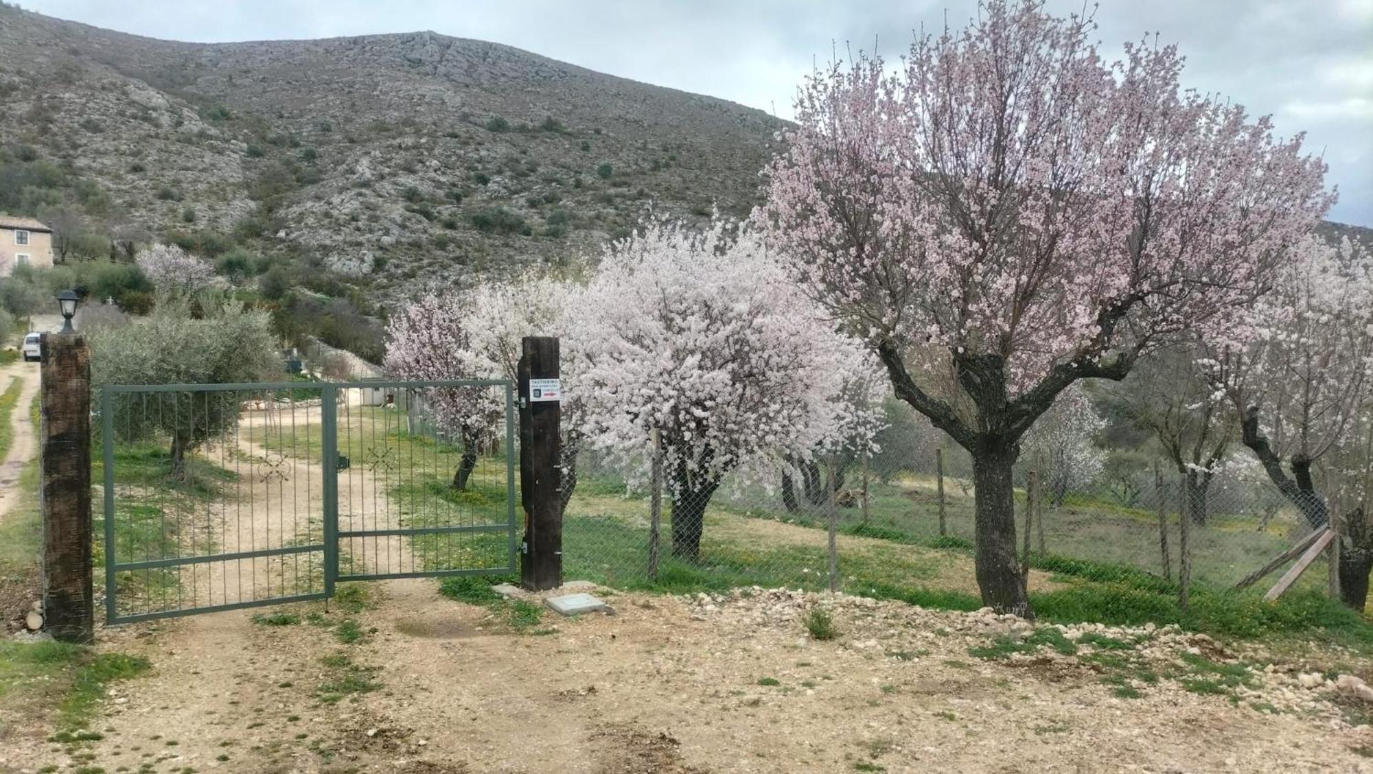 Al Casolare Ofena Exterior foto